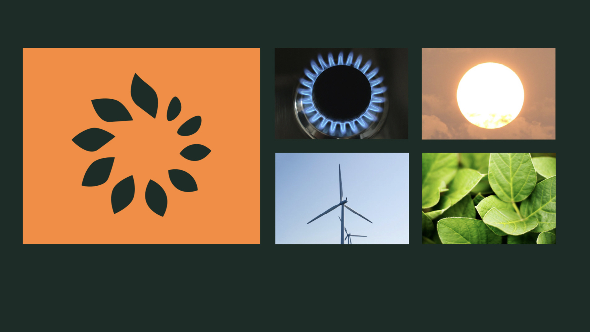 可再生能源vi設計 .jpeg 可再生能源vi設計 .jpeg