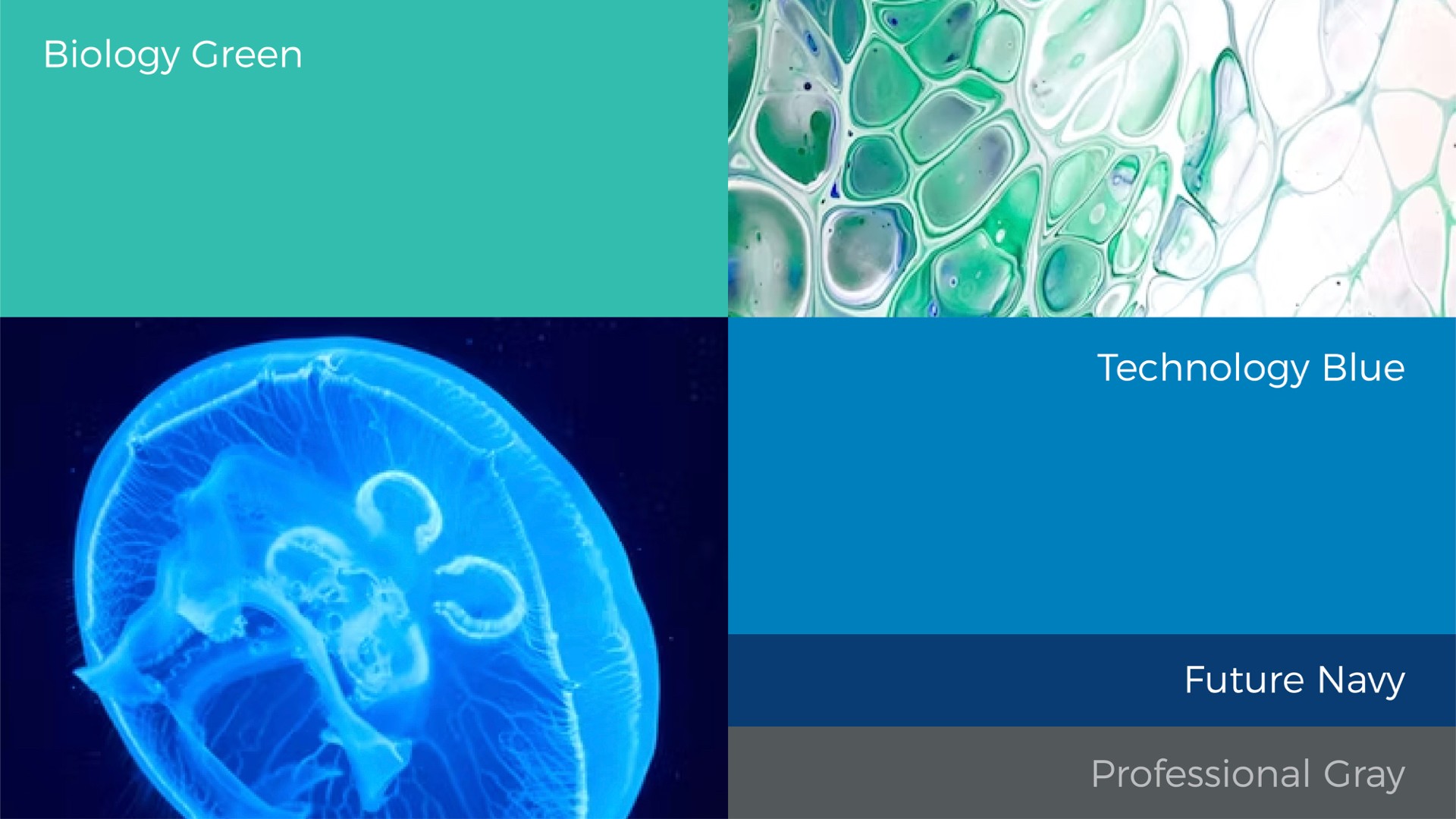 2醫(yī)療醫(yī)藥色彩.jpeg 2醫(yī)療醫(yī)藥色彩.jpeg